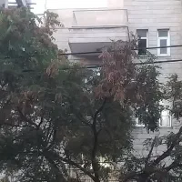 200متر-کلنگی-پونک-شاهین-شمالی