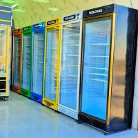 یخچال ایستاده البرز شیش رنگ