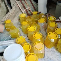 دبه|ظروف نگهدارنده، پلاستیکی، یکبارمصرف|اندیمشک, |دیوار