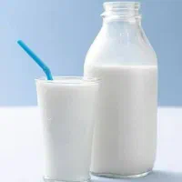 شیر و ماست گوسفندی و بز