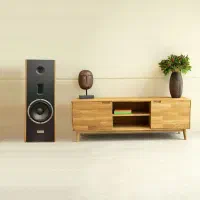 اسپیکر خانگی ـ طراحی کلاسیک با صدایی مدرن|سیستم صوتی خانگی|تهران, بلوار کشاورز|دیوار