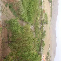 باغ