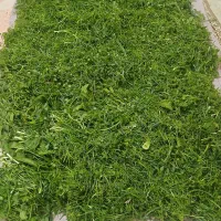 سبزی قرمه سبزی بسیاربهداشتی وخوش عطروطعم