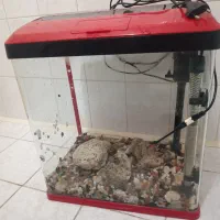 آکواریوم درحد