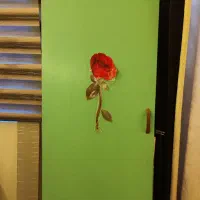 ۱۲ عدد درِ کمد دیواری (۶ بزرگ + ۶ کوچک)|جاکفشی، کمد، دراور|بندر ماهشهر, |دیوار