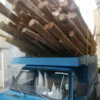 باغبانی ودرخت کاری