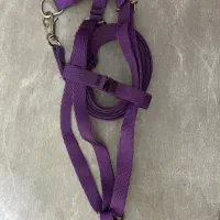 قلاده نونو|لوازم جانبی حیوانات|اصفهان, میرعماد|دیوار