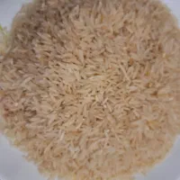 برنج طارم کشت امساله