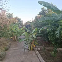 فروش ویلا باغ|فروش خانه و ویلا|دزفول, |دیوار