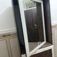 جاکفشی ایستاده سالم