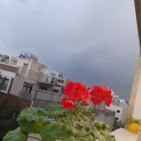 همخونه خانم