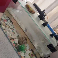 آکواریوم شیشه خم ۲۵×۴۰|ماهی|اردبیل, |دیوار