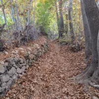 ظرفشور و تخته کار ماهر در رستوران قلات