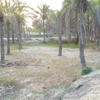 باغ در روستا دیرستان مخصوص بومگردی