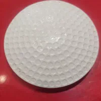 دوزگیر صدفی