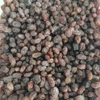 کشمش آفتابی انگور بیدانه ارداق درشت ودرجه یک