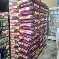 برنج هندی سونامسوری