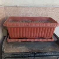 5عدد گلدان پلاستیکی