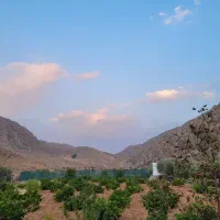 فروش-باغ-شهری-زرقان