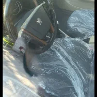 پژو پارس tu5|خودرو سواری و وانت|بم, |دیوار