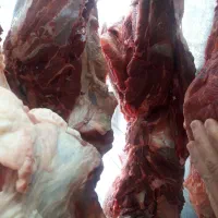 گوشت ران گوساله|خوردنی و آشامیدنی|اصفهان, جاوان|دیوار