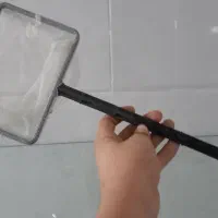 آکواریم وسایل عید نوروز|ماهی|مسجد سلیمان, |دیوار