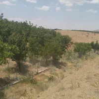 فروش زمین ۴۸۰ متری جاده چم ها به طرف اصفهان|فروش زمین و ملک کلنگی|نجف‌آباد, باغ ملی|دیوار