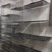 قفس