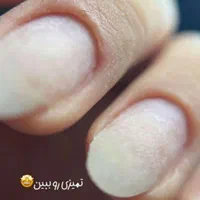 آموزش صفر تا صد کاشت پودر کاملا تضمینی|خدمات آموزشی|بندرعباس, |دیوار