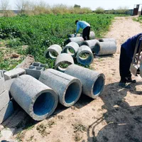 بلوک  گنگ  لوله سیمانی  حلقه چاه  سنگ پل|مصالح و تجهیزات ساختمان|دزفول, |دیوار