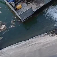 موتورمارگو کارلوسکار