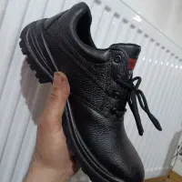 کفش ایمنی و لباس کار|کیف، کفش، کمربند|کهریزک, |دیوار