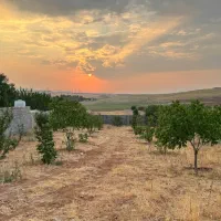 باغ ۱۰۰۰ متر محصور حسین‌آبادقابل تهاتر با آپارتمان