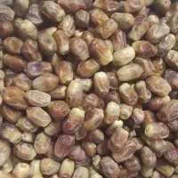 خرما پارساله برای شیره . سرکه و دام