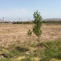 زمین ۸۰۰متری برجاده جلفا|فروش دفتر صنعتی، کشاورزی، تجاری|جلفا, |دیوار