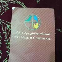 سگ اشپیدز روباهی|سگ|کرمانشاه, |دیوار