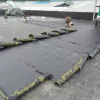 خدمات نصب فروش قیرگونی ایزوگام|خدمات پیشه و مهارت|چالوس, |دیوار