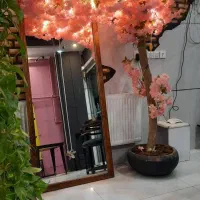 درختچه شکوفه صورتی