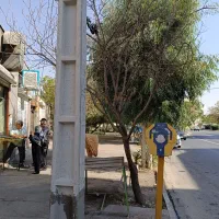 نانوایی سنگکی دور میدان|اجارهٔ مغازه و غرفه|ری, بیبی شهر بانو|دیوار