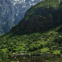 تور گردشگری