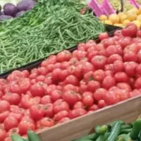 اجاره-مغازه-میوه-فروشی