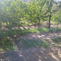 املاک-محمدی-روستای-وشنوه-زمین-داخل-بافت-240متری