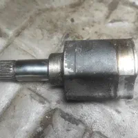 مشعلی پلوس ۲۴ خار