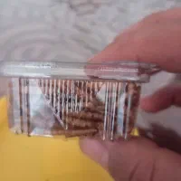 کرم میلورم