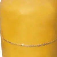 دوعدد کپسول گاز ونان کر سالم سالمه