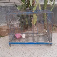 قفس پرنده|لوازم جانبی حیوانات|مرودشت, ژیان|دیوار