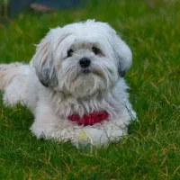 نیاز به معا.ینه