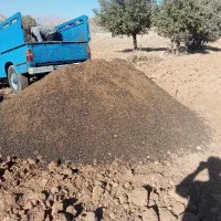 کود حیوانی گوسفندی