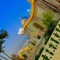 سرایدار تالار