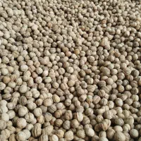 گردو|خوردنی و آشامیدنی|مریوان, |دیوار